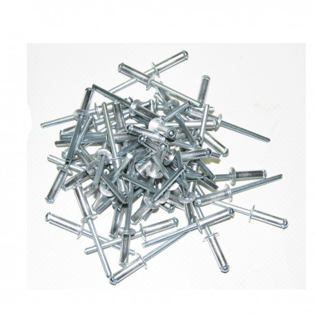 Lot de 100 rivets pour...